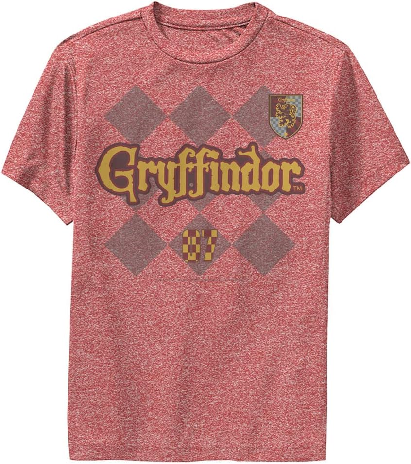 Harry Potter Kids' Gryffindor Pride Apparel | Premium Quality