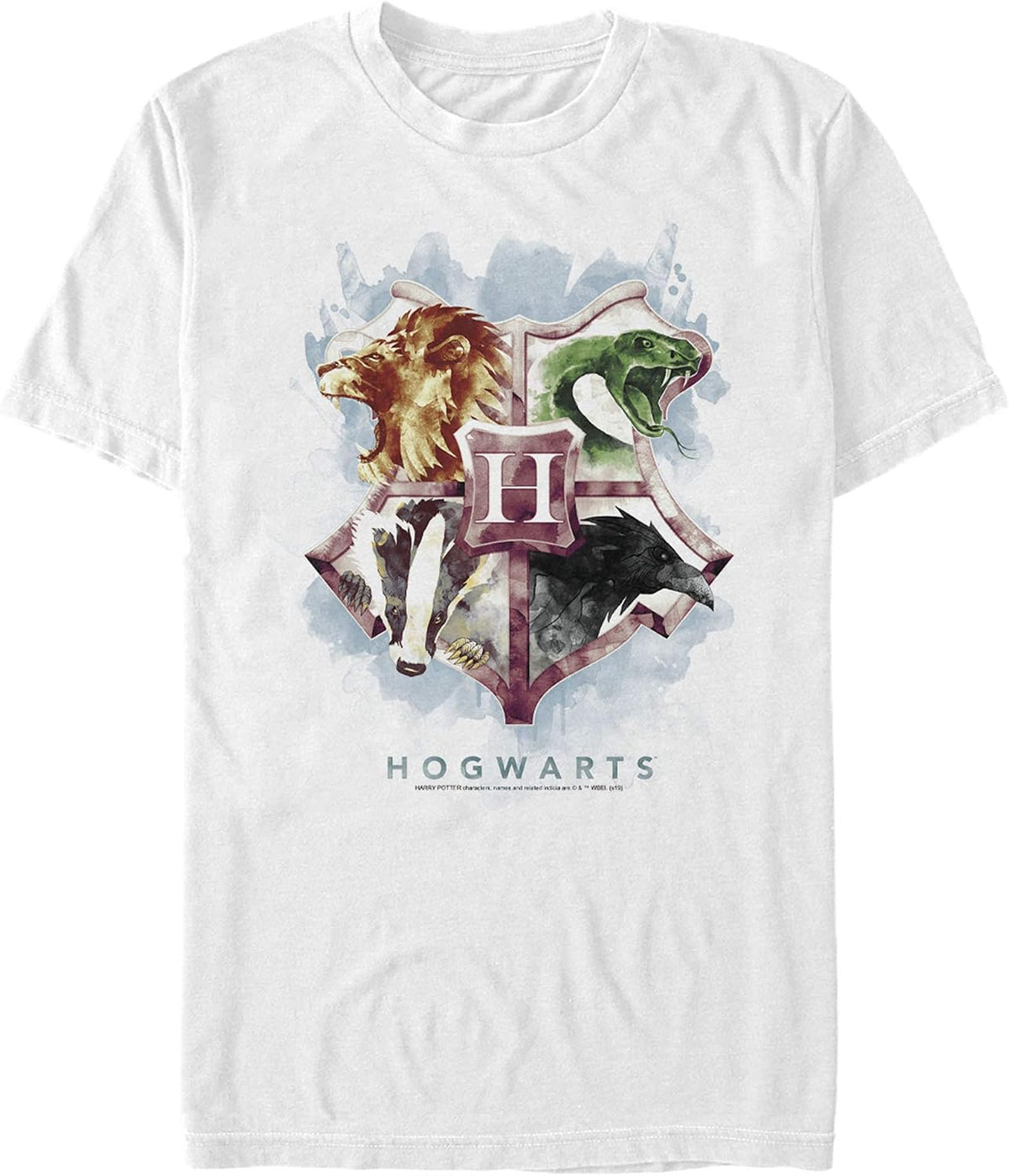 Harry Potter Men's Hogwarts Mystic Wash Apparel | Aesthetic Streetwear