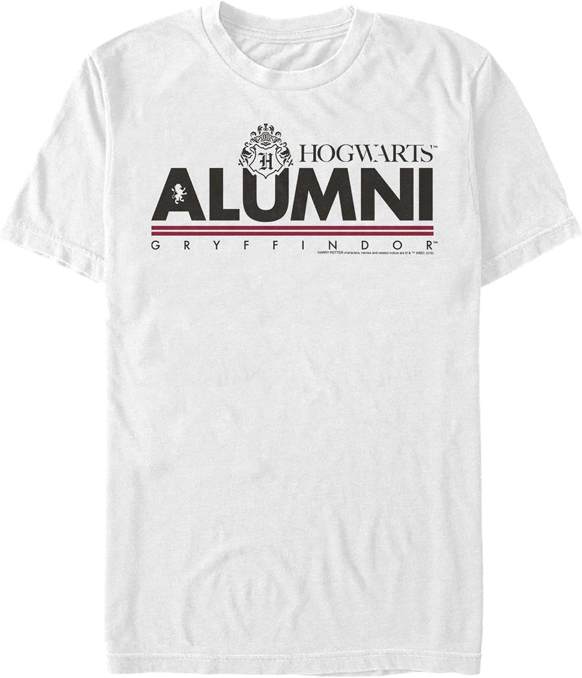 Harry Potter Men's Alumni Gryffindor T-Shirt, White, Large T-Shirt | Aesthetic Streetwear