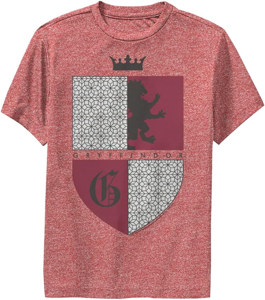 Harry Potter Boys' Gryffindor Shield Apparel | Best Seller