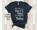 The Best Moms Get Promoted To Nanni for India Indian Grandma Birthday Mother39s Day Christmas Gift for Grandmother Graphic Tee – Everyday Comfort · Must-Have Style