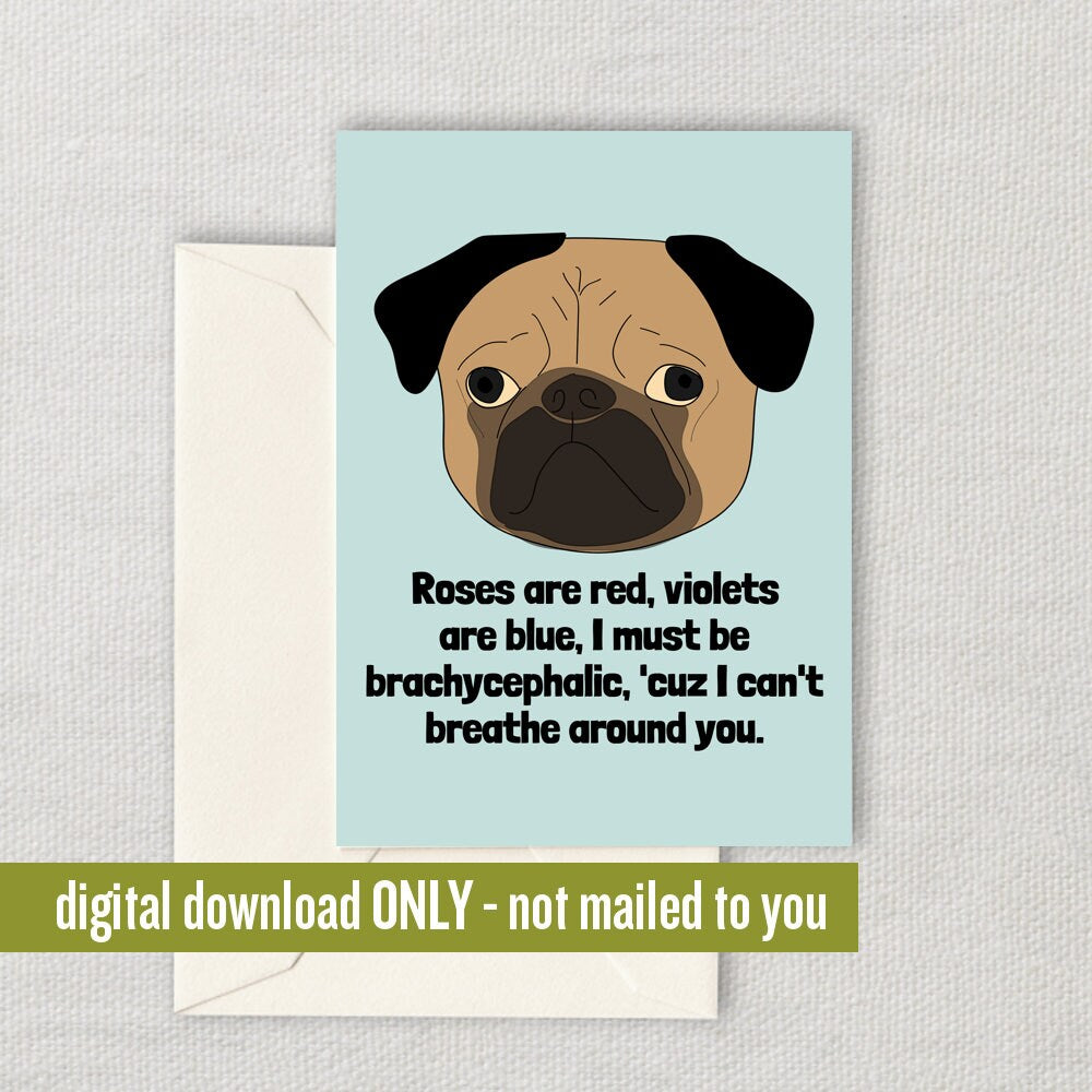 Nerdy Veterinarian Card Veterinarian Printable Valentine Vet Tech Gift Pug Veterinary Gift Digital Download Brachycephalic Graphic Tee – Premium Graphic · Top Pick For Any Outfit