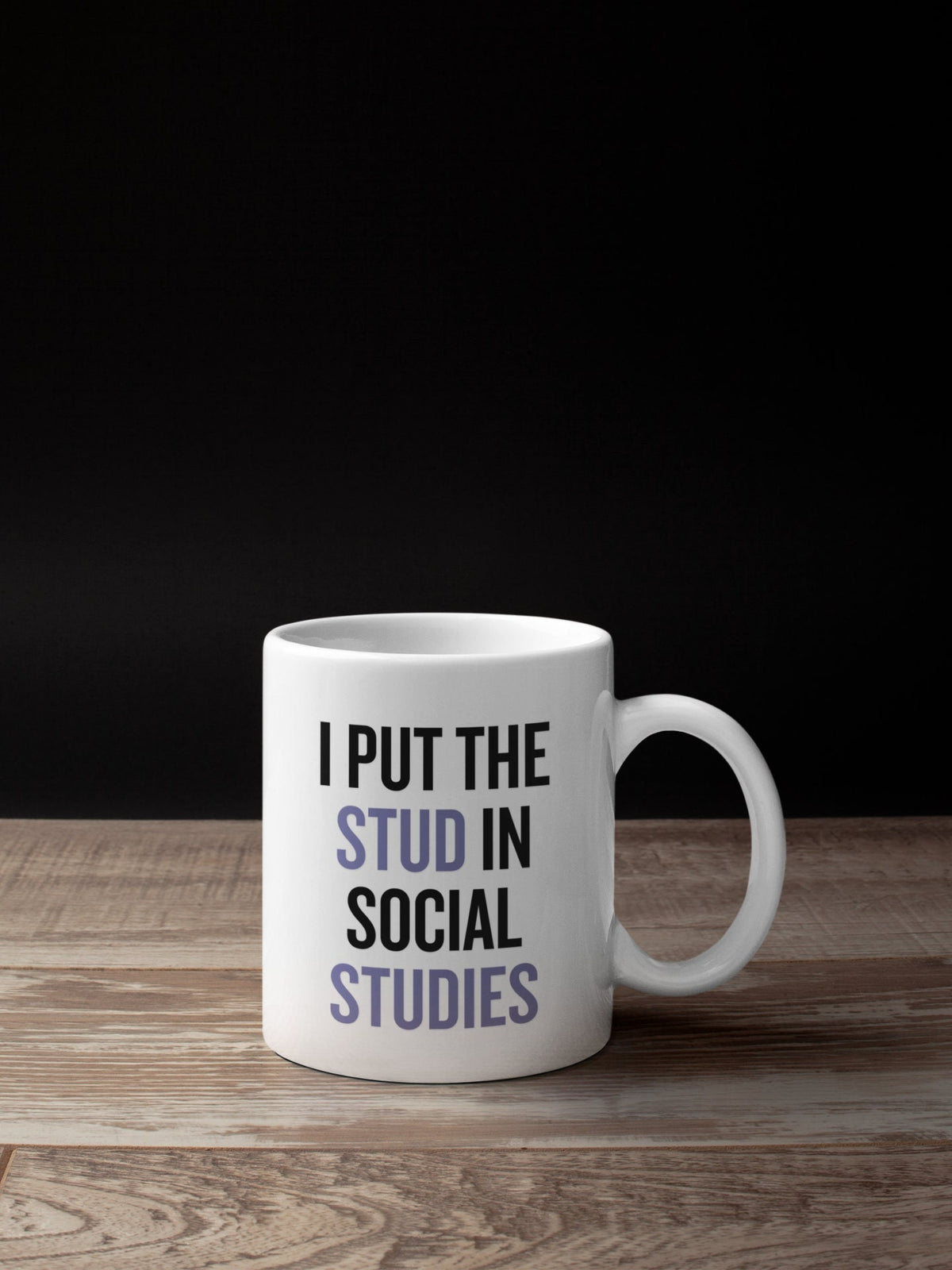 History Teacher Gift Social Studies Mug History Teacher Mug Social Studies Teacher GIfts I Put The Stud In Social Studies Graphic Tee – Soft Feel · Perfect For Daily Wear