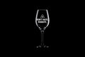 Funny Radiology Wine Glass Radiologist Gift Rad Tech Present Radiographer Nuclear Medicine Don39t Hate Radiate Graphic Tee – Aesthetic Look · Great Gift For Fans