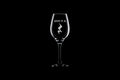 Funny Band Teacher Gift Choir Director Gift Orchestra Conductor Gift Birthday Present for Music Teacher Musical Wine Glass Give It Graphic Tee – Cozy Vibes · High-Quality Print