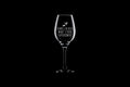 Ballroom Dance Wine Glass Funny Dancer Gift Ballroom Dancing I Dance In Heels Graphic Tee – Fan Favorite · Top Pick For Any Outfit