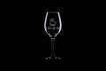 Funny Alpaca Wine Glass Funny Gift For Alpaca or Lama Lover Llama Wine Glass I Spit On You Graphic Tee – Bold Style · Perfect For Daily Wear