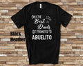 The Best Dads Get Promoted to Abuelito Grandpa Tshirt Spanish Grandfather Gift Idea for Father39s Day Birthday Christmas or Pregnancy Reveal Graphic Tee – Warm & Stylish · Perfect For Daily Wear