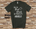 The Best Dads Get Promoted to Abuelo Grandpa Tshirt Spanish Grandfather Gift Idea for Father39s Day Birthday Christmas or Pregnancy Reveal Graphic Tee – Warm & Stylish · High-Quality Print
