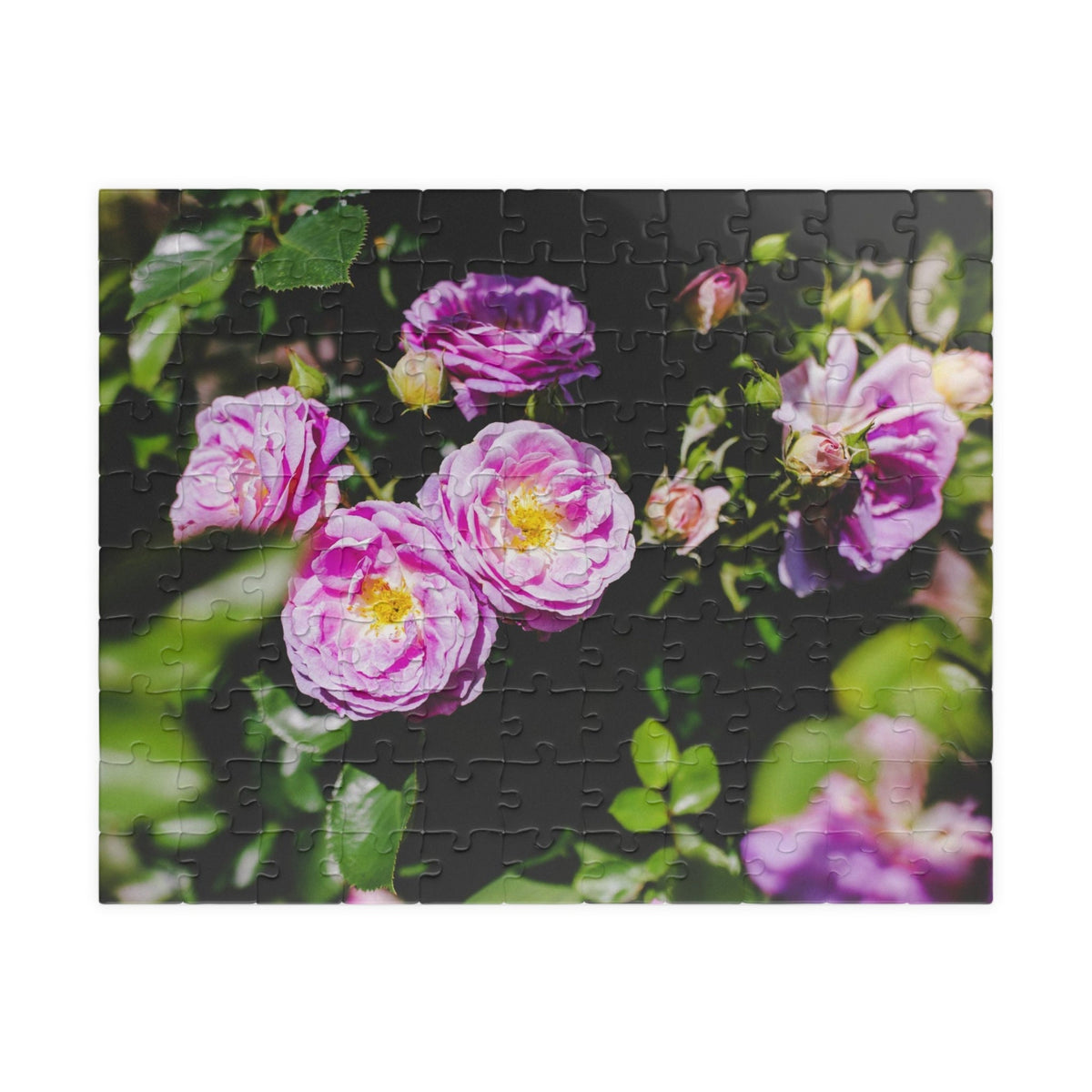 Puzzle of Lilac Garden Rose in Full Sun Difficult Flower Puzzle for Adults with Purple Flowers and Shadows Flower Lover Gift for Gardener Graphic Tee – Cozy Vibes · Top Pick For Any Outfit