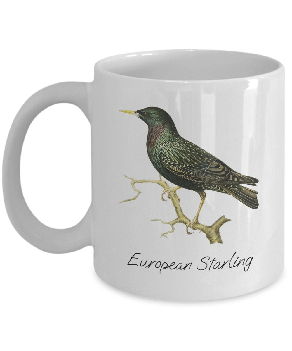 Bird Lover Gift Bird Watching Mug Ornithology Mug Birding Gift European Starling Bird Species Graphic Tee – Everyday Comfort · Must-Have Style