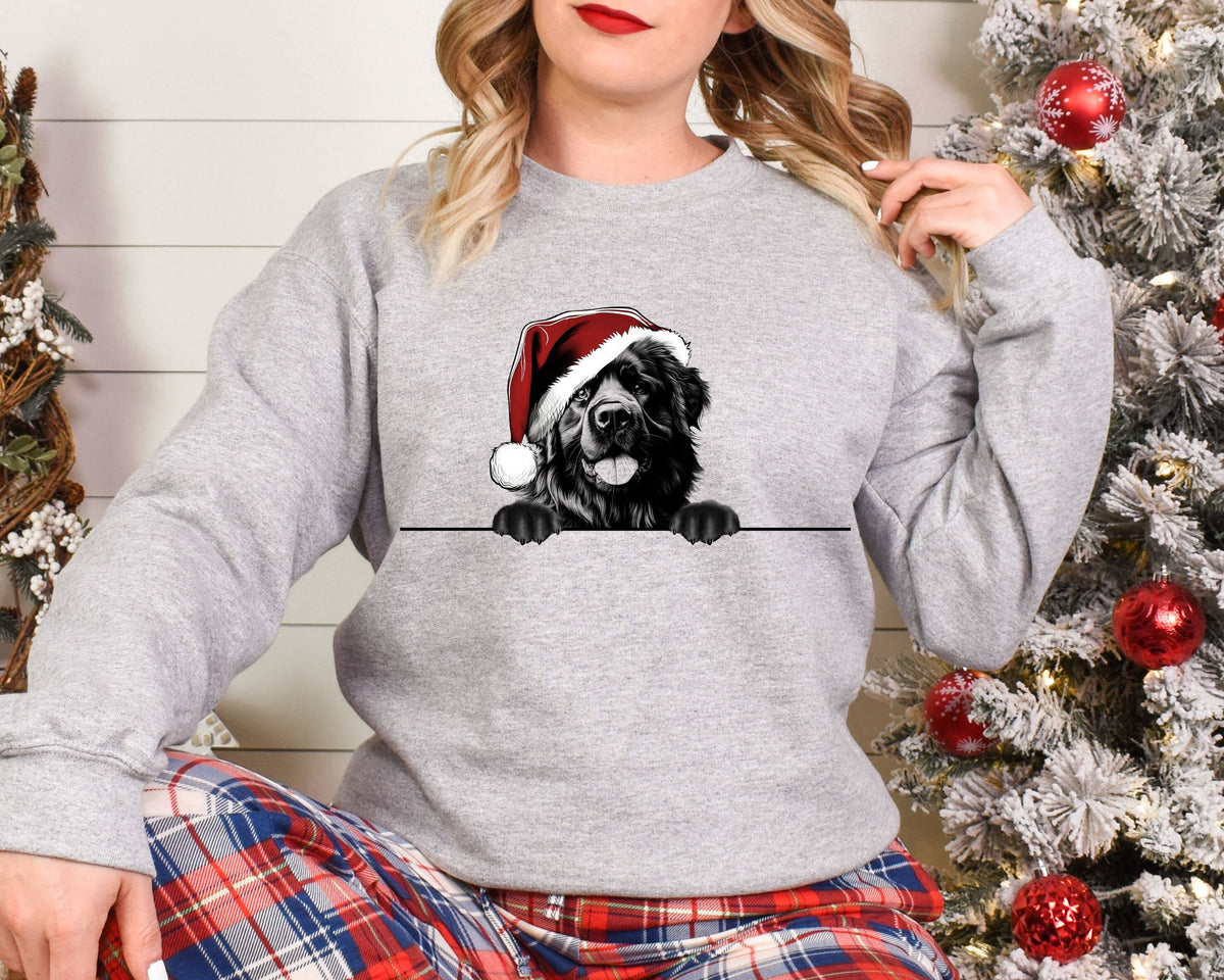 Xmas Sweatshirt Newfoundland Dog Christmas Sweater Xmas Jumper Day Santa Hat For Men Women Kids Sweatshirt – Aesthetic Look · Must-Have Style