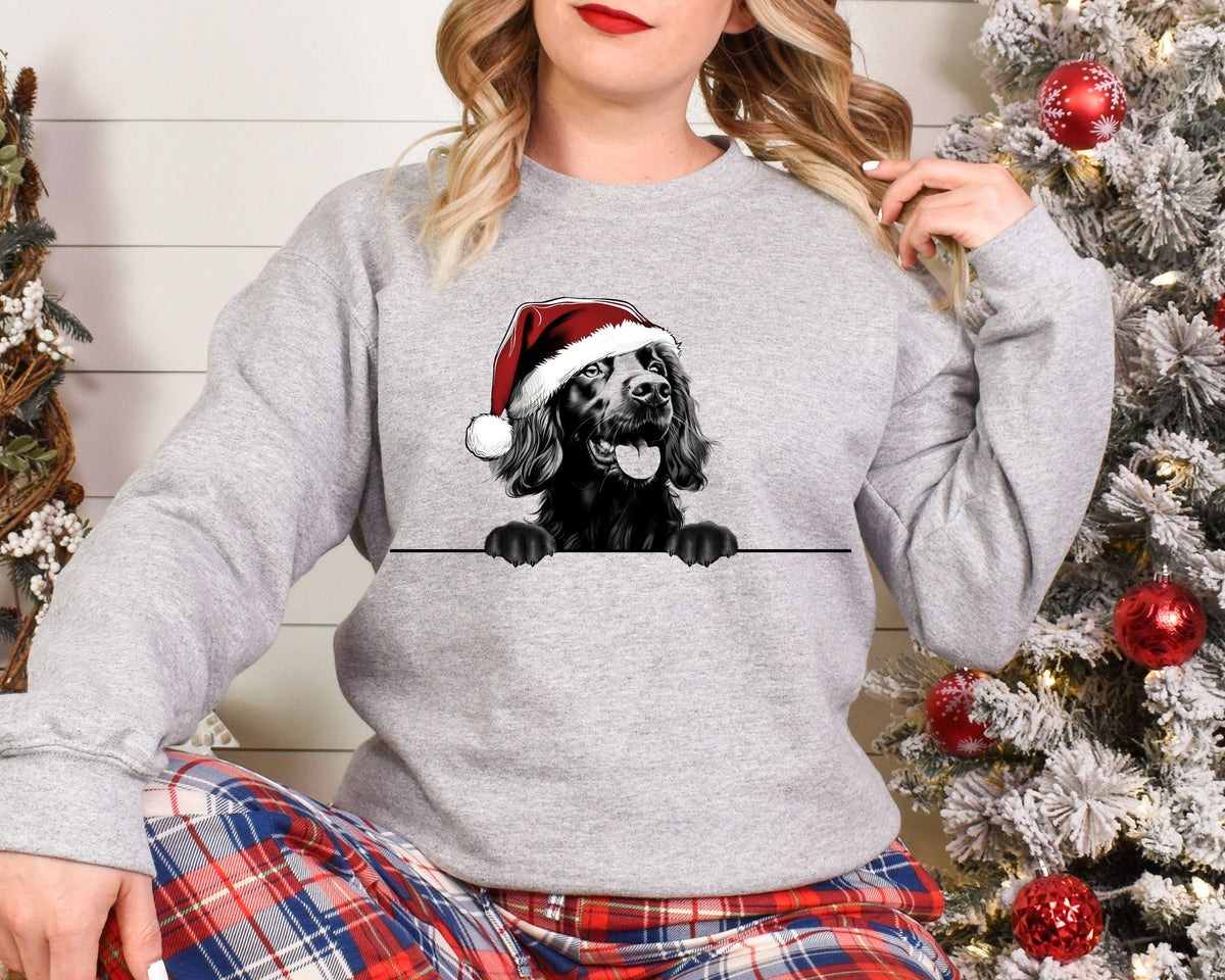Xmas Sweatshirt Boykin Spaniel Dog Christmas Sweater Xmas Jumper Day Santa Hat For Men Women Kids Sweatshirt – Easygoing Wear · Perfect For Daily Wear