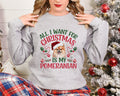 Christmas Sweater Xmas Sweatshirt Festive Sweater For Dog Lover Pomeranian Christmas Shirt All I Want For Christmas Sweater Sweatshirt – Aesthetic Look · Perfect For Daily Wear