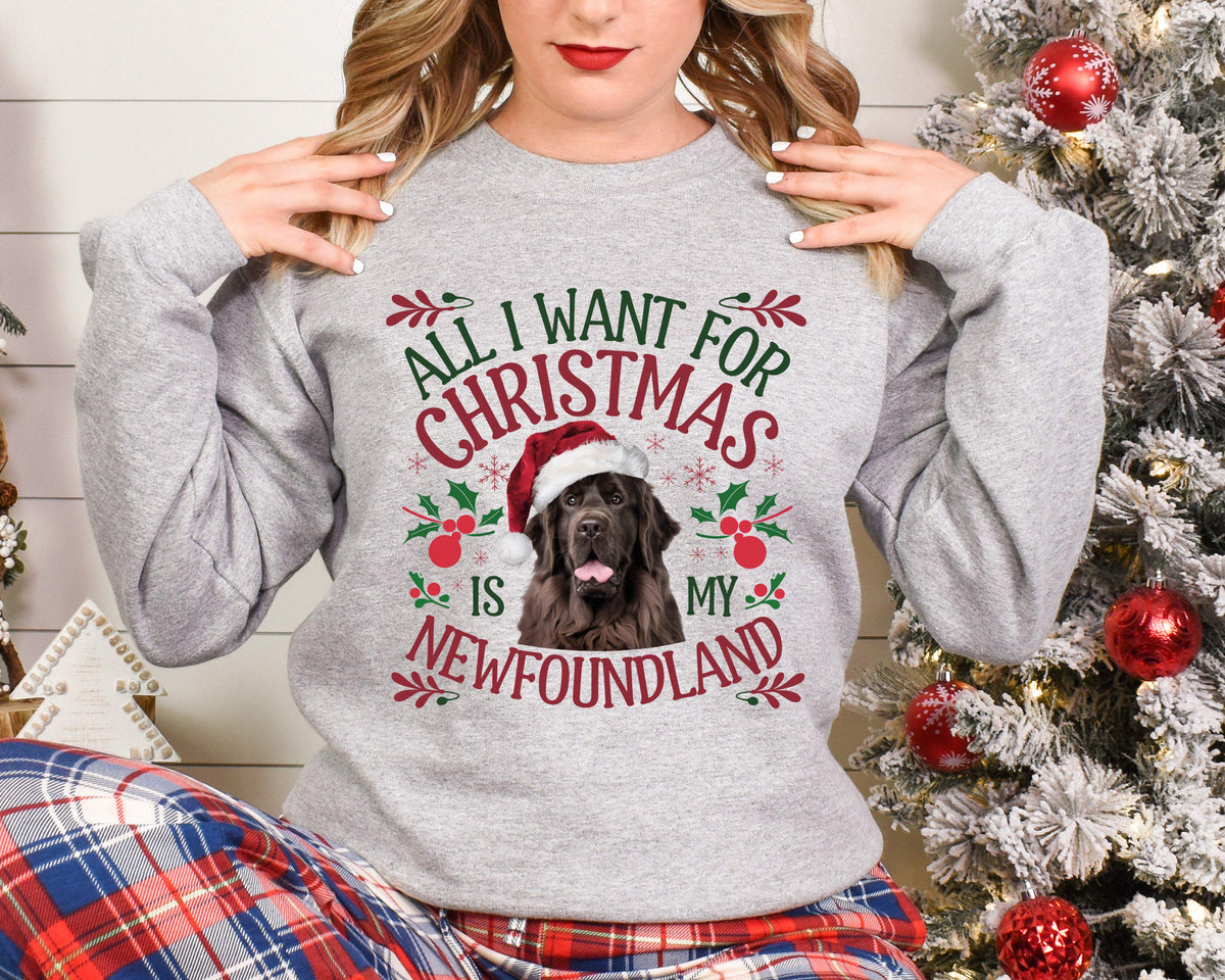 Xmas Sweater Christmas Sweatshirt For Dog Lover All I Want For Christmas Is My Newfoundland Festive Sweater Holiday Gift Sweatshirt – Aesthetic Look · Great Gift For Fans