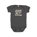 Insurance Baby Bodysuit Insurance Baby Onepiece Insurance Baby Gift Small Package Big Coverage Graphic Tee – Fan Favorite · Trending Graphic Apparel