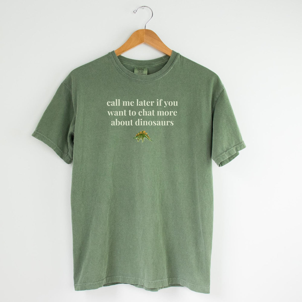 Funny Dinosaur Lover Tee Shirt for Paleontologist or Friend Who Loves Dinosaurs Science Teacher Geology Professor Cute Stegosaurus Tee Graphic Tee – Premium Graphic · Must-Have Style