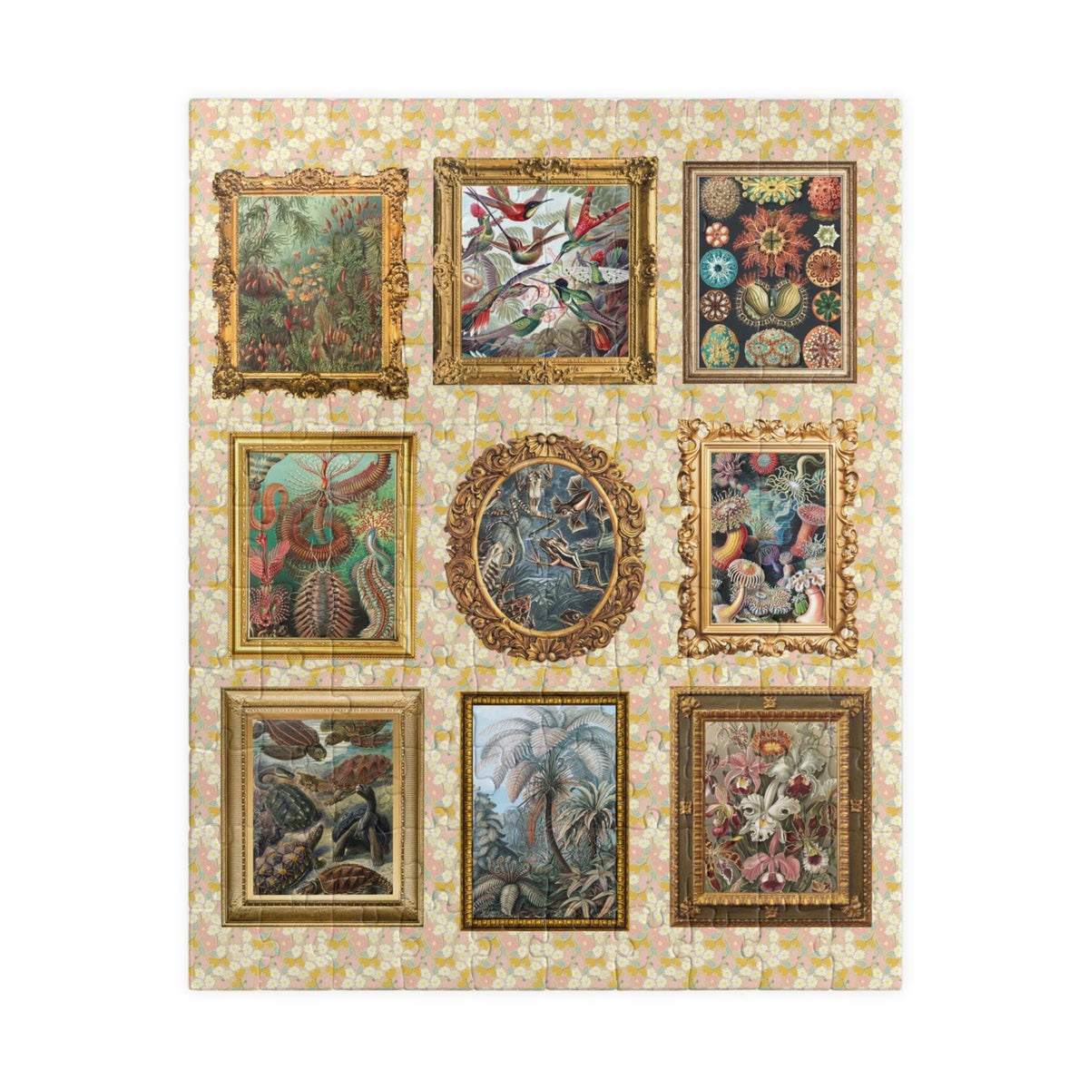 Ernst Haeckel German Art History Puzzle for Marine Biologist or Zoologist 19th Century Historic Illustration Puzzle for Science Teacher Graphic Tee – Soft Feel · Perfect For Daily Wear