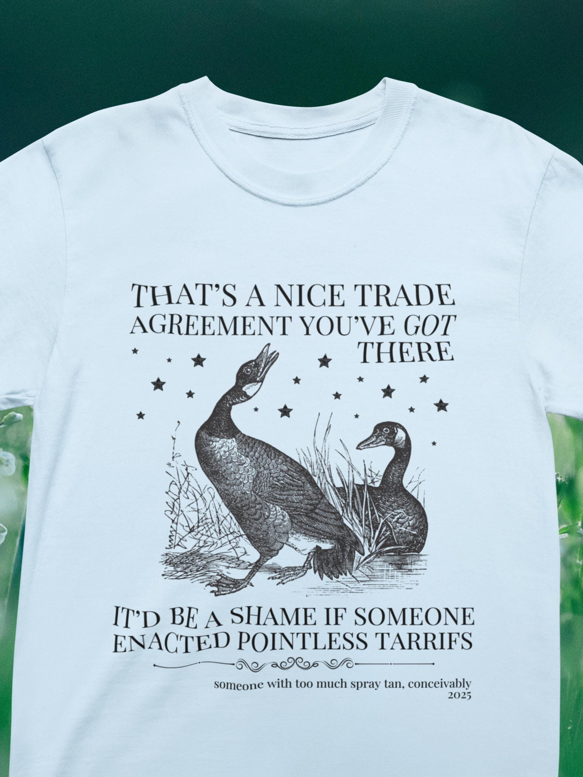 Subtle Democrat Tee Shirt Historian Who Loves Canada Funny Animal Lover Democratic Socialist Gift for Historian Equal Rights Leftist Tee Graphic Tee – Cozy Vibes · Must-Have Style