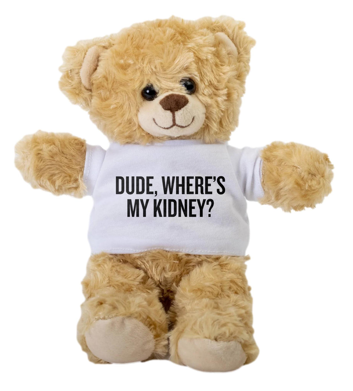 Kidney Donor Gift Funny Kidney Teddy Bear Kidney Transplant Present Dude Where39s My Kidney Graphic Tee – Everyday Comfort · Great Gift For Fans