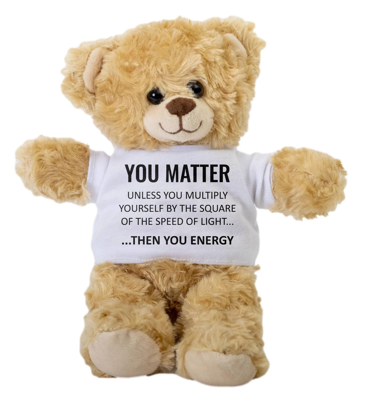 Physics Gift Funny Science Teddy Bear Nerdy Science Humor Funny Physics Teacher GIft You Matter Graphic Tee – Aesthetic Look · Great Gift For Fans