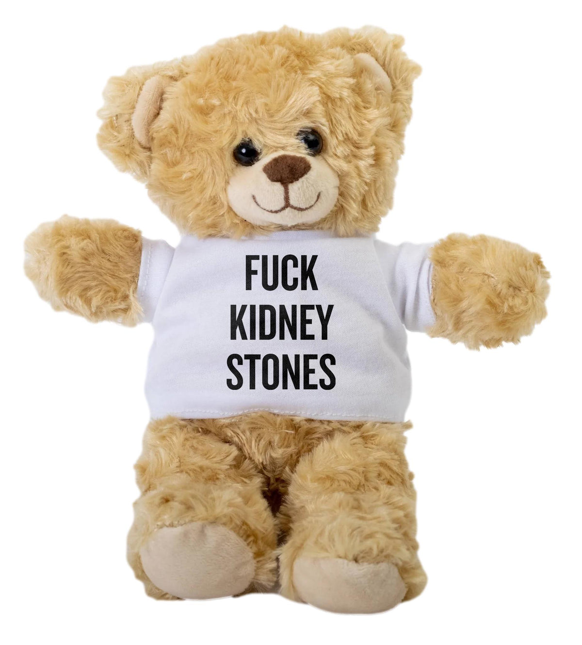 Kidney Stone Gift Fuck Kidney Stones Teddy Bear Funny Get Well Soon Plush Savage Recovery Gift for Adults Graphic Tee – Aesthetic Look · Perfect For Daily Wear