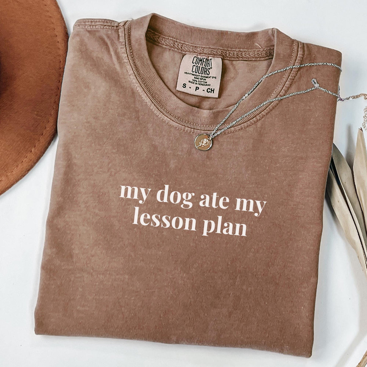 Funny Teacher Tee Shirt for Dog Lover or Animal Lover High School Teacher Who Loves Dogs Middle School Teacher Junior High School Teacher Graphic Tee – Easygoing Wear · Top Pick For Any Outfit