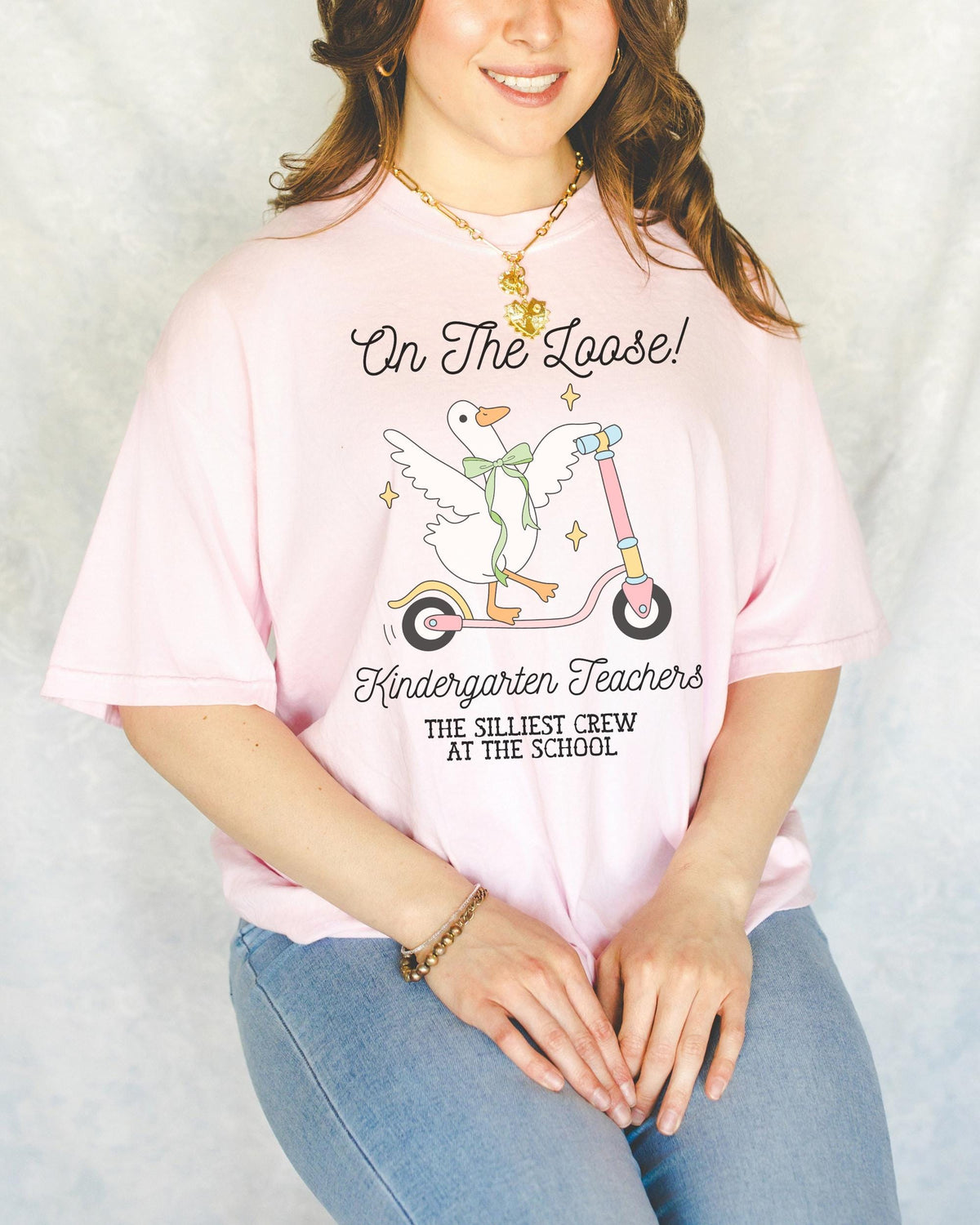 Kindergarten Teacher Tee Shirt for Back to School Matching Meet the Teacher TShirt for First Day of School Silly Goose Animal Lover Tee Graphic Tee – Warm & Stylish · Great Gift For Fans