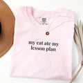 Funny Teacher Tee Shirt for Cat Lover Cat Mom or Cat Dad TShirt High School Teacher Who Loves Cats Middle or Junior High School Teacher Graphic Tee – Everyday Comfort · Perfect For Daily Wear